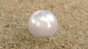 perle-sand-300x167